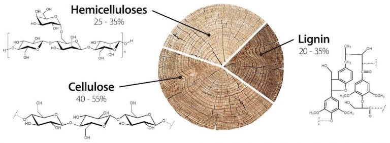 Mô tả hàm lượng cellulose và lignin trong gỗ